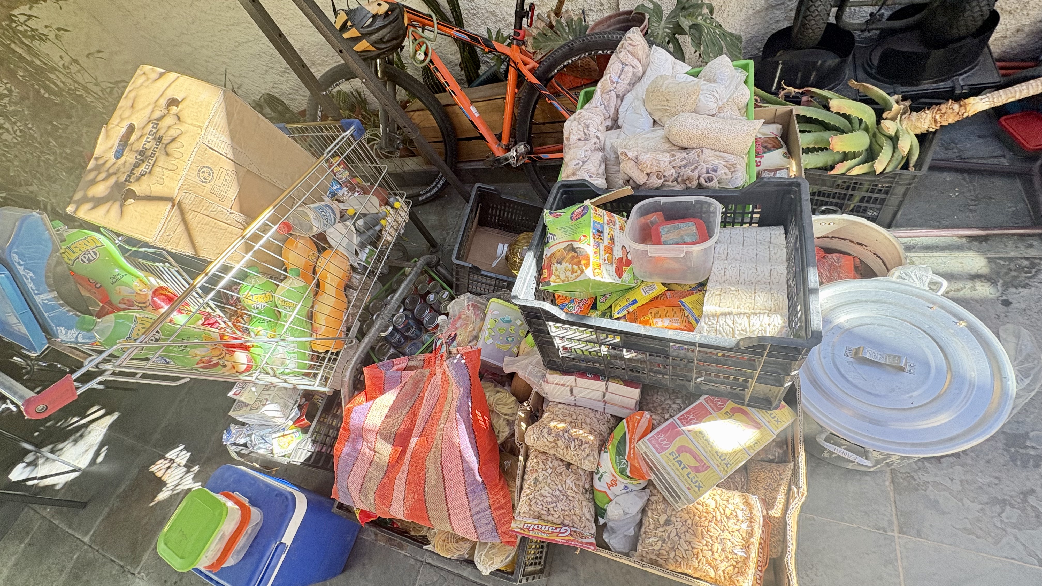 SEGURIDAD PÚBLICA DECOMISA MÁS DE CINCO TONELADAS DE FRUTAS Y VERDURAS Y 517 PRODUCTOS DE CONTRABANDO EN FERIAS ROTATIVAS